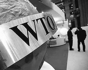 世贸预警：美关税冲击下，中国对美出口或暴跌77%