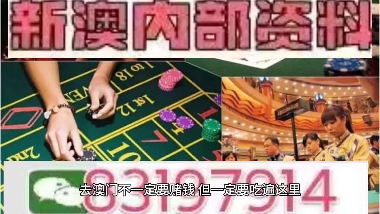 2025新澳门天天免费精准，详细解答、解释与落实